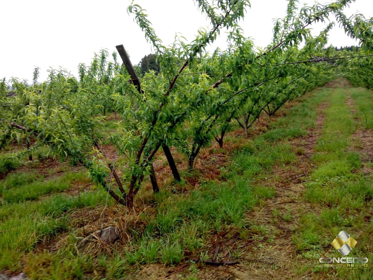 Loteamento e Condomínio à venda, 78000m² - Foto 14
