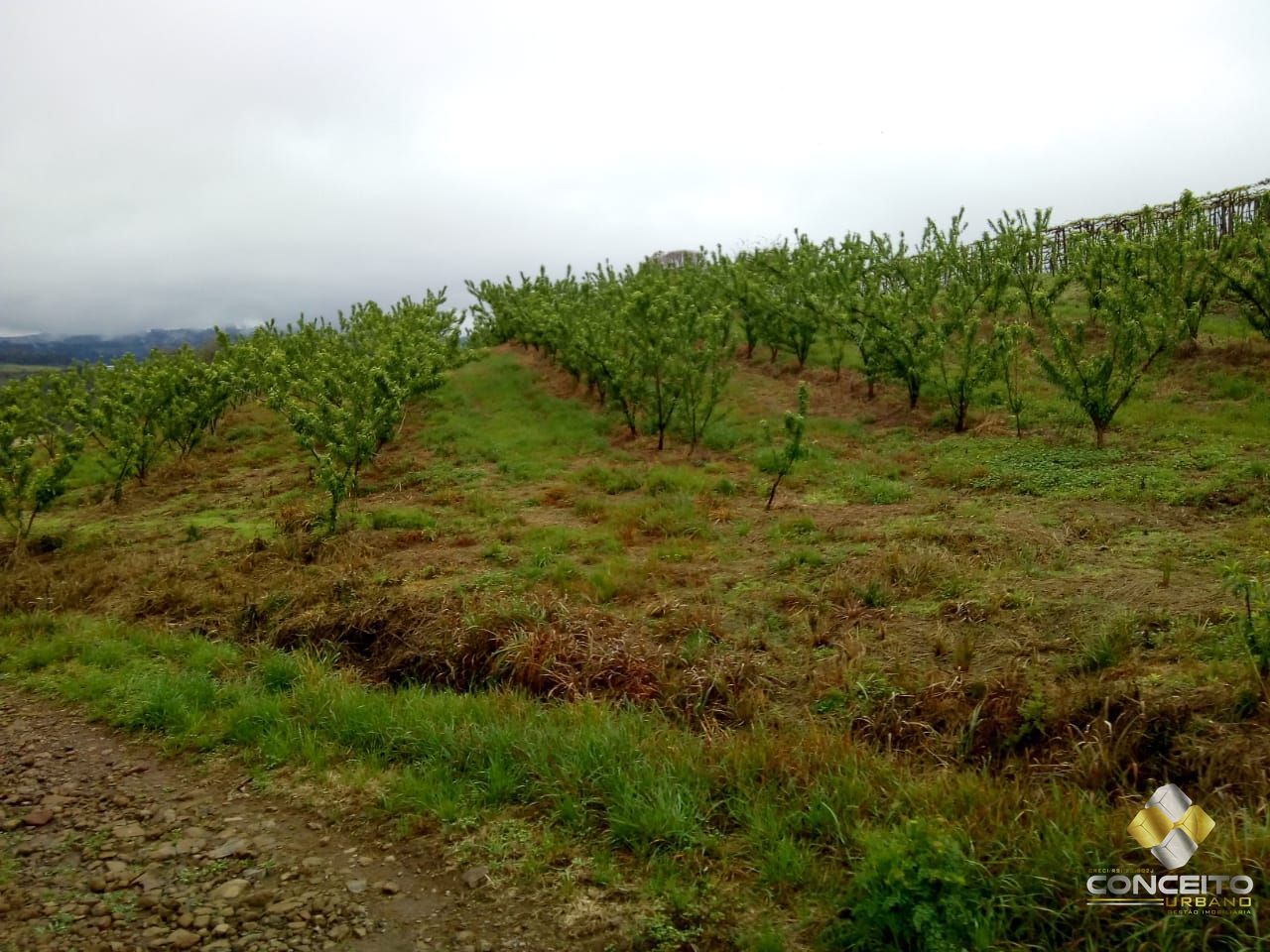 Loteamento e Condomínio à venda, 78000m² - Foto 13