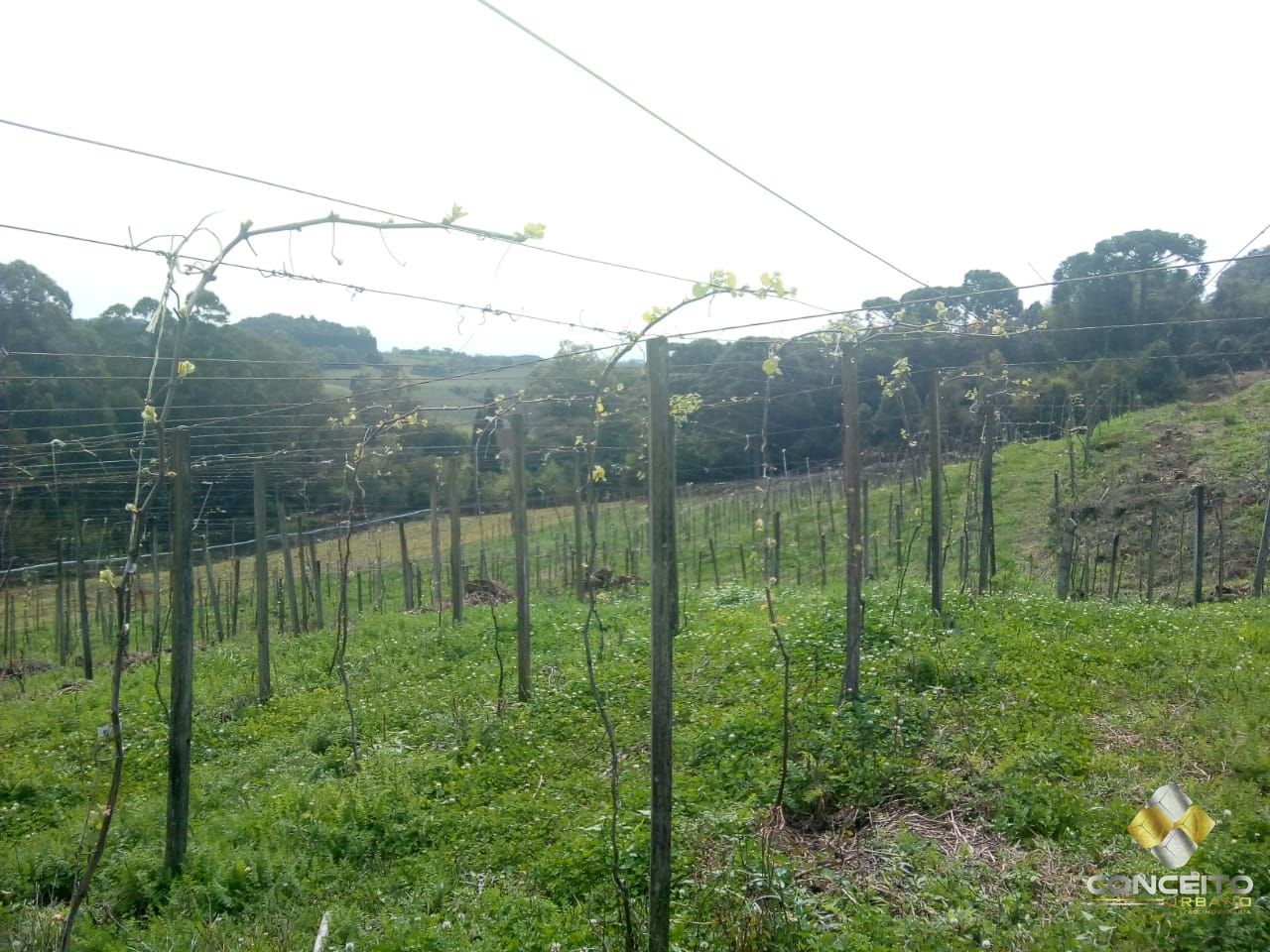 Loteamento e Condomínio à venda, 78000m² - Foto 12