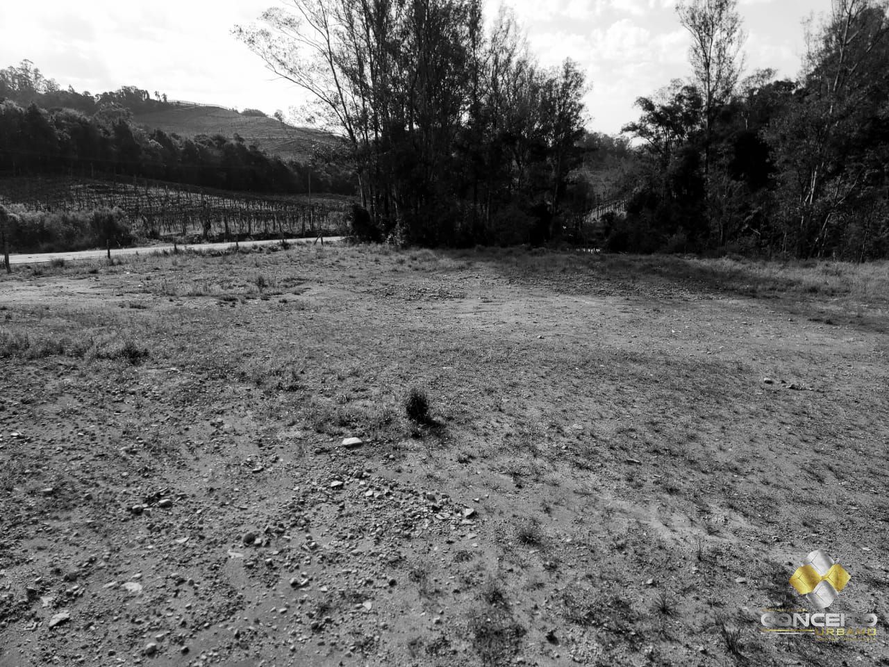 Loteamento e Condomínio à venda, 100000000m² - Foto 11