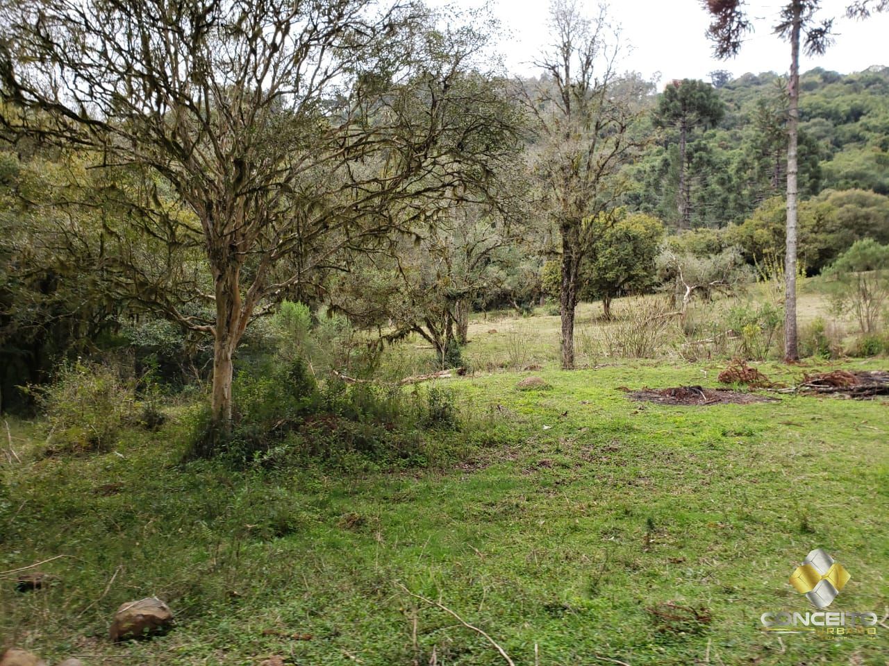 Terreno à venda, 220000m² - Foto 6