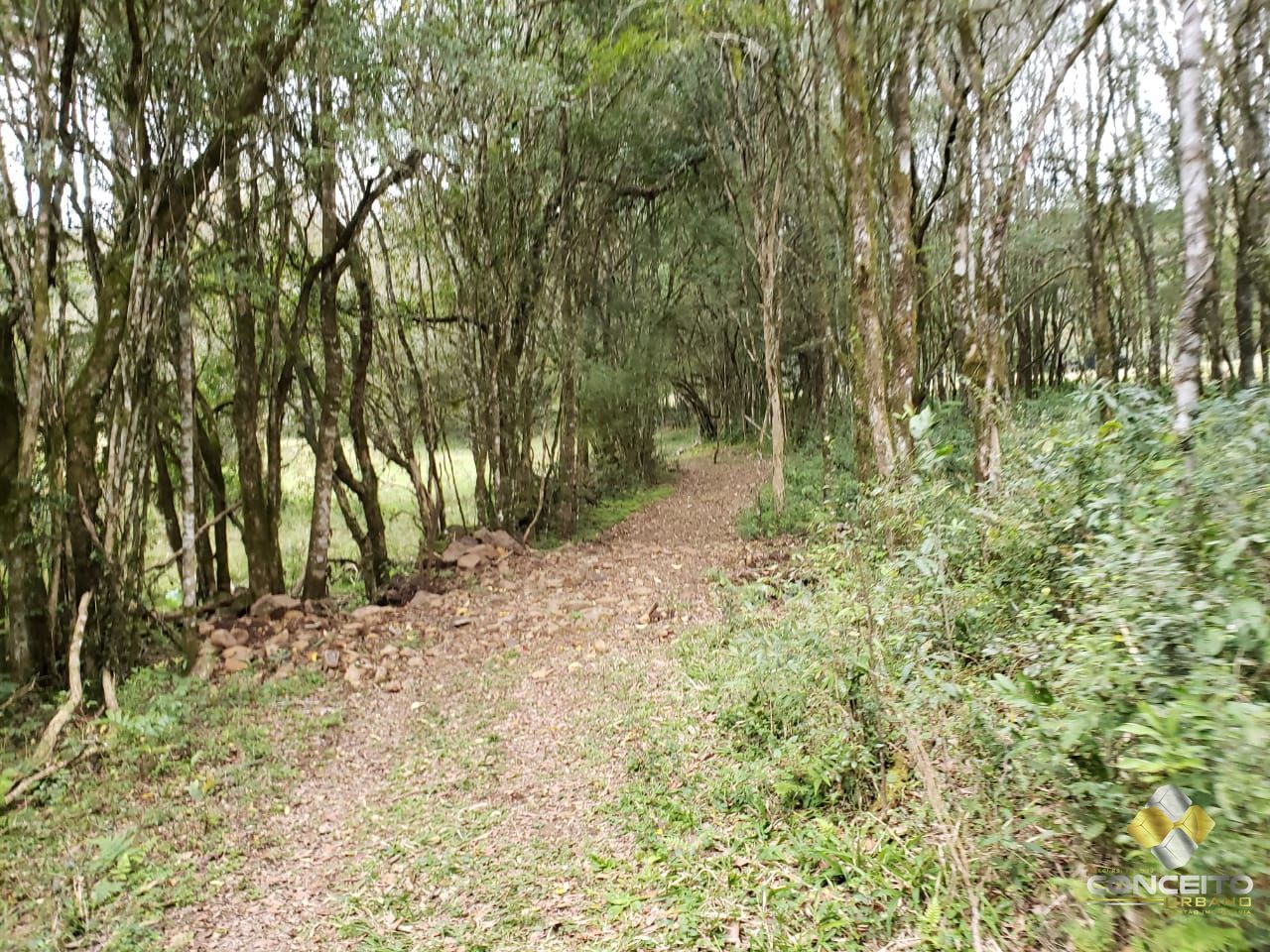 Terreno à venda, 220000m² - Foto 5