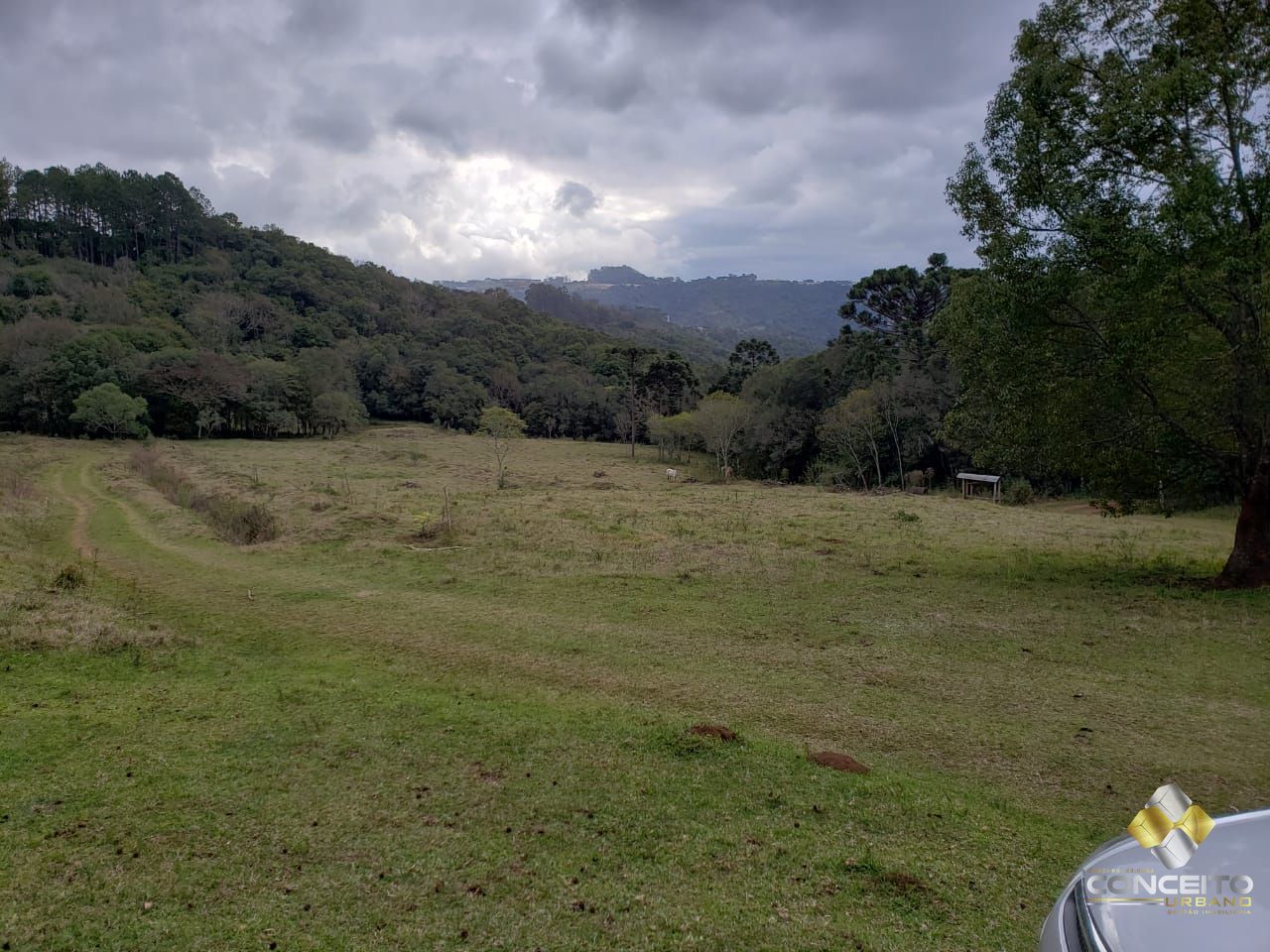 Terreno à venda, 220000m² - Foto 8