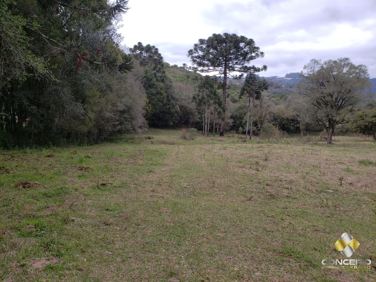 Terreno à venda, 220000m² - Foto 14