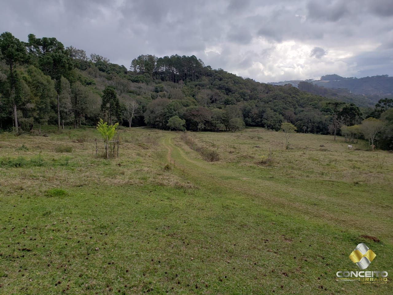 Terreno à venda, 220000m² - Foto 10