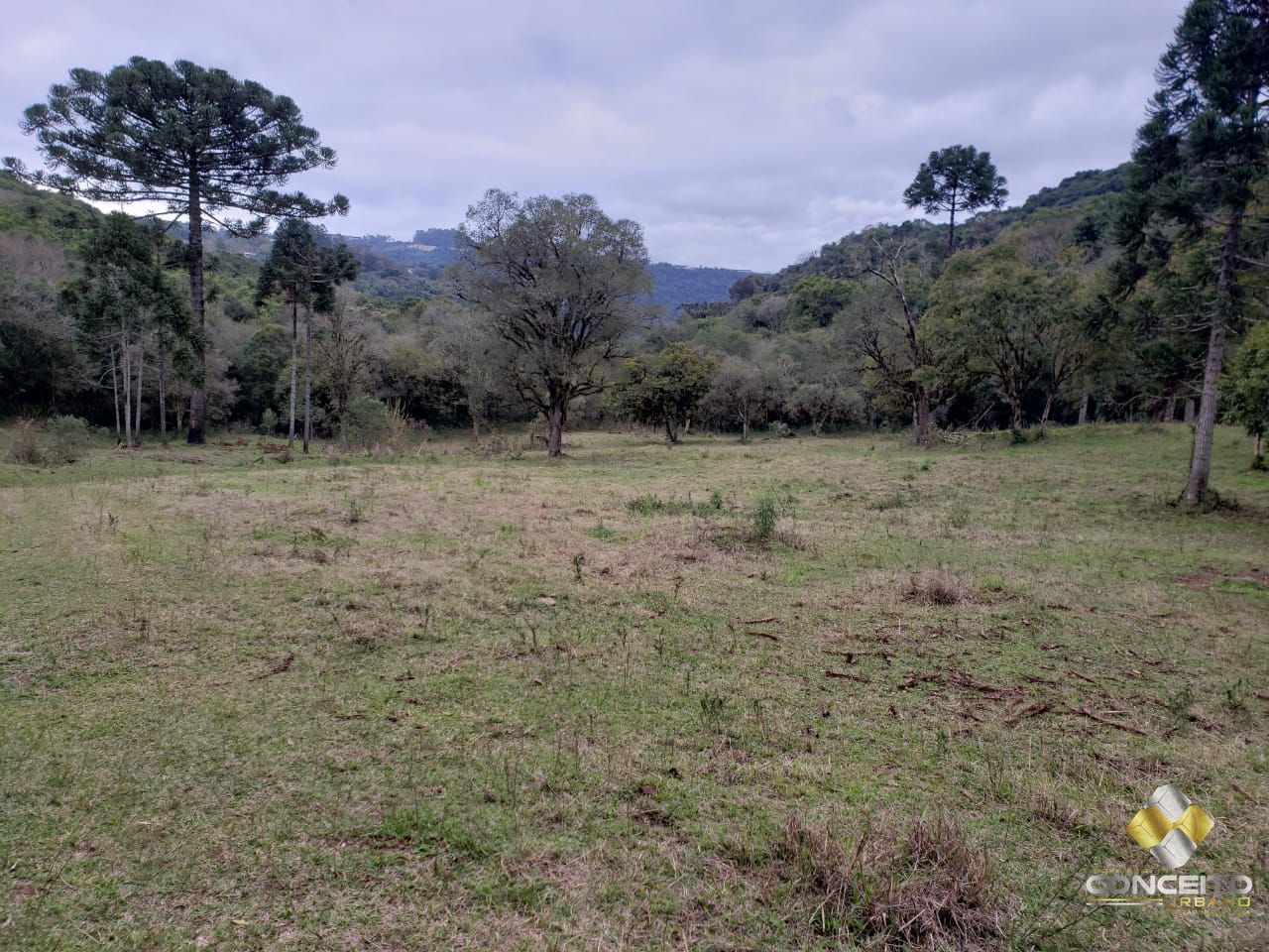 Terreno à venda, 220000m² - Foto 12