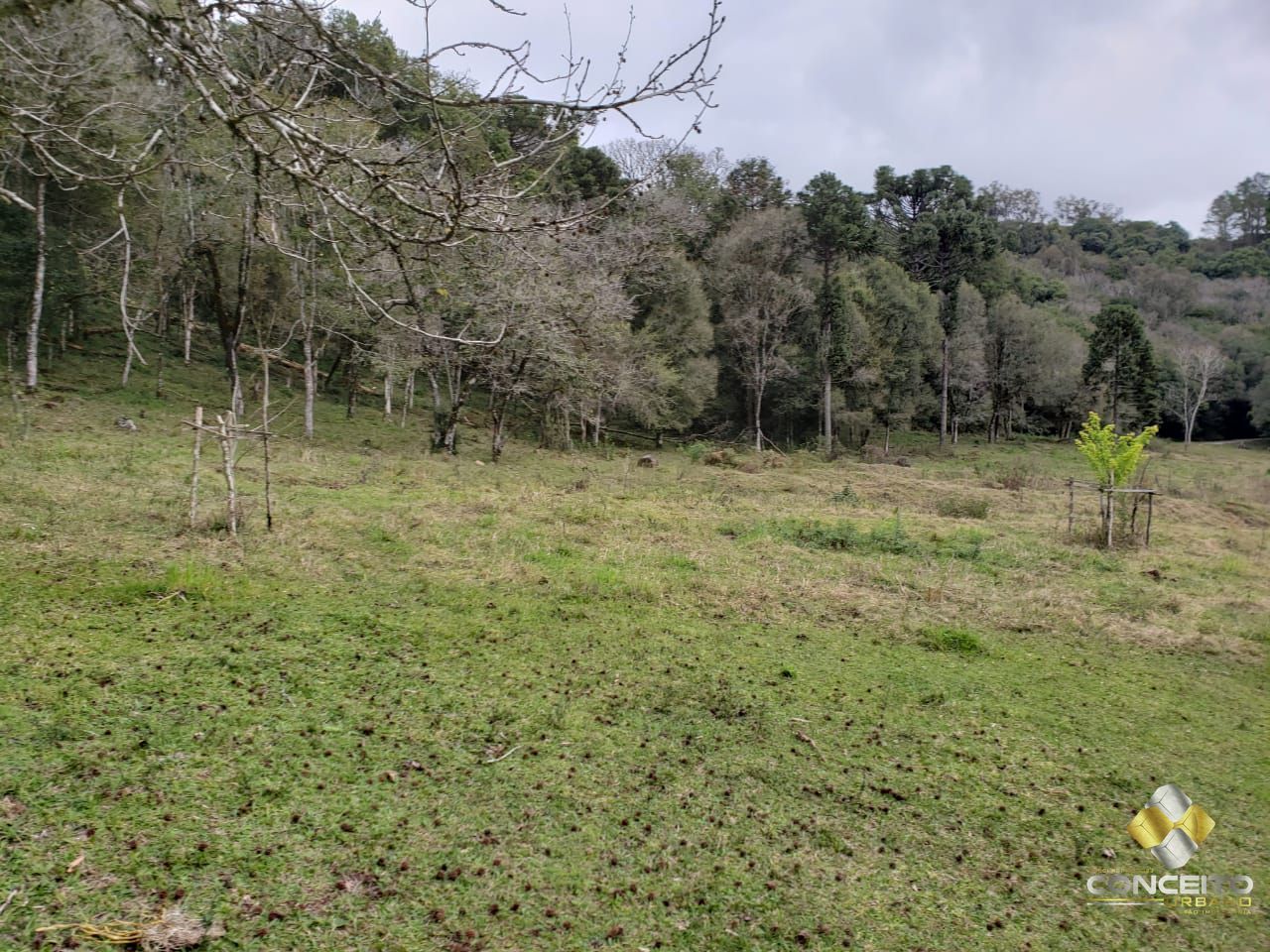 Terreno à venda, 220000m² - Foto 11