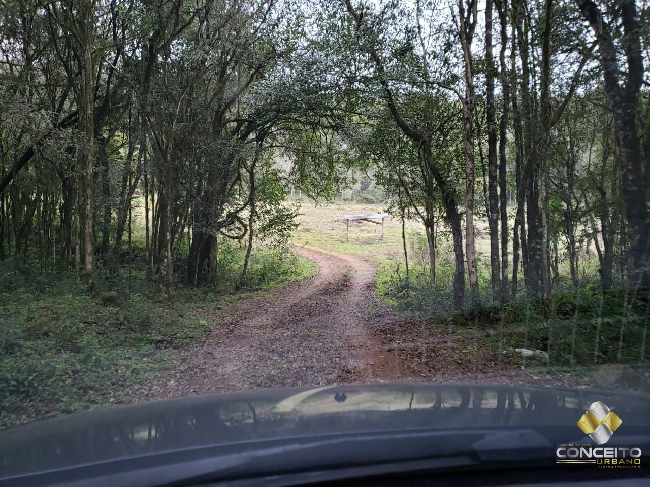 Terreno à venda, 220000m² - Foto 3