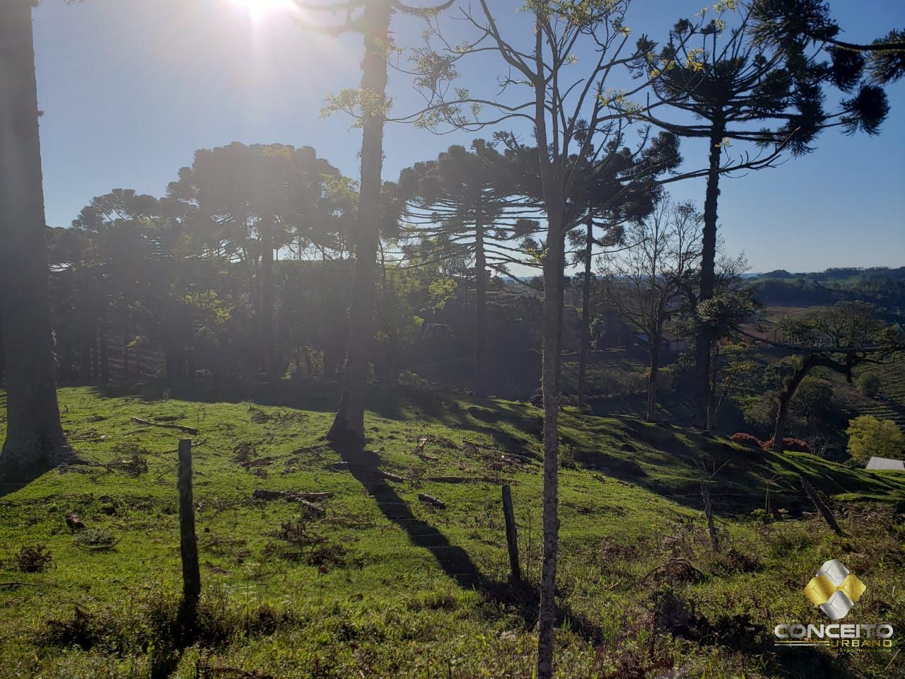 Loteamento e Condomínio à venda, 20000m² - Foto 2