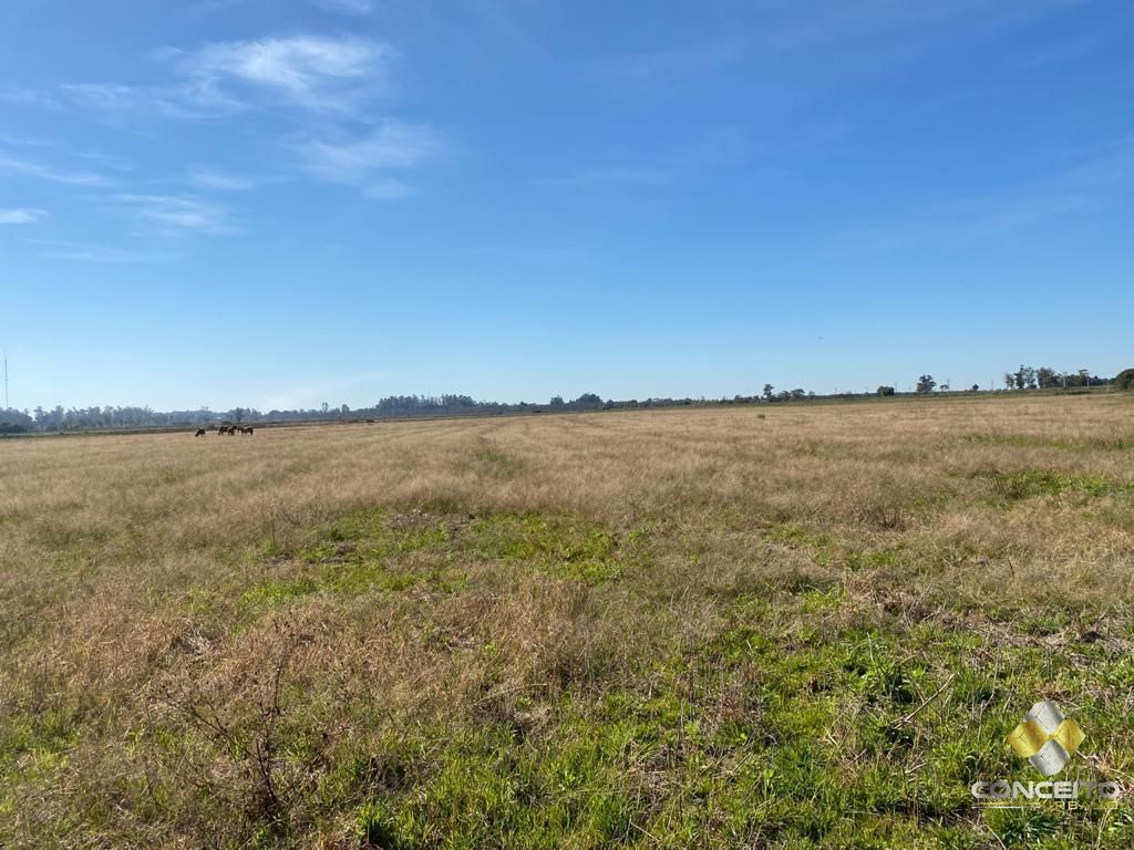 Terreno à venda, 6300000m² - Foto 23
