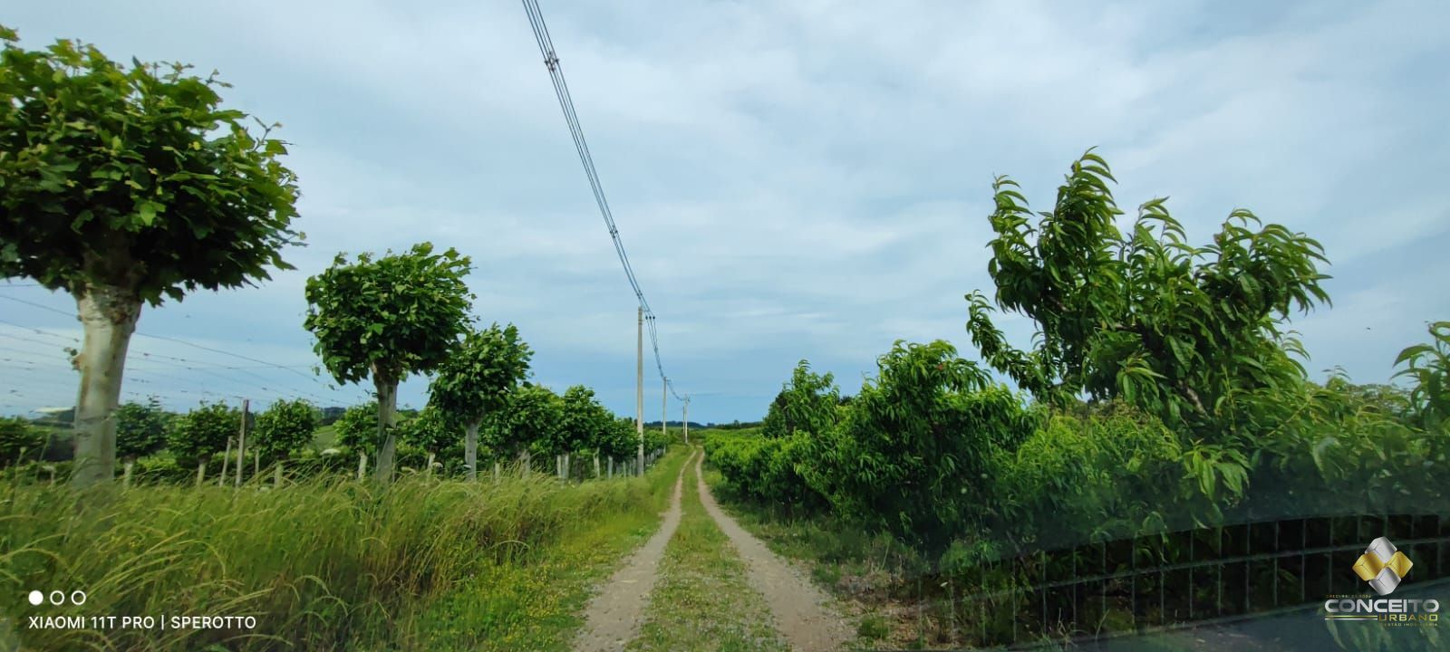 Terreno à venda, 107000m² - Foto 12