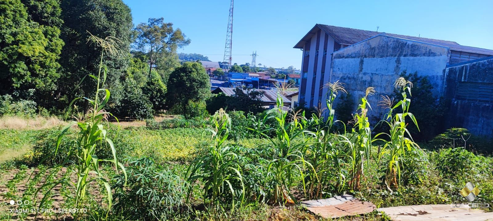 Loteamento e Condomínio à venda e aluguel, 11946m² - Foto 8