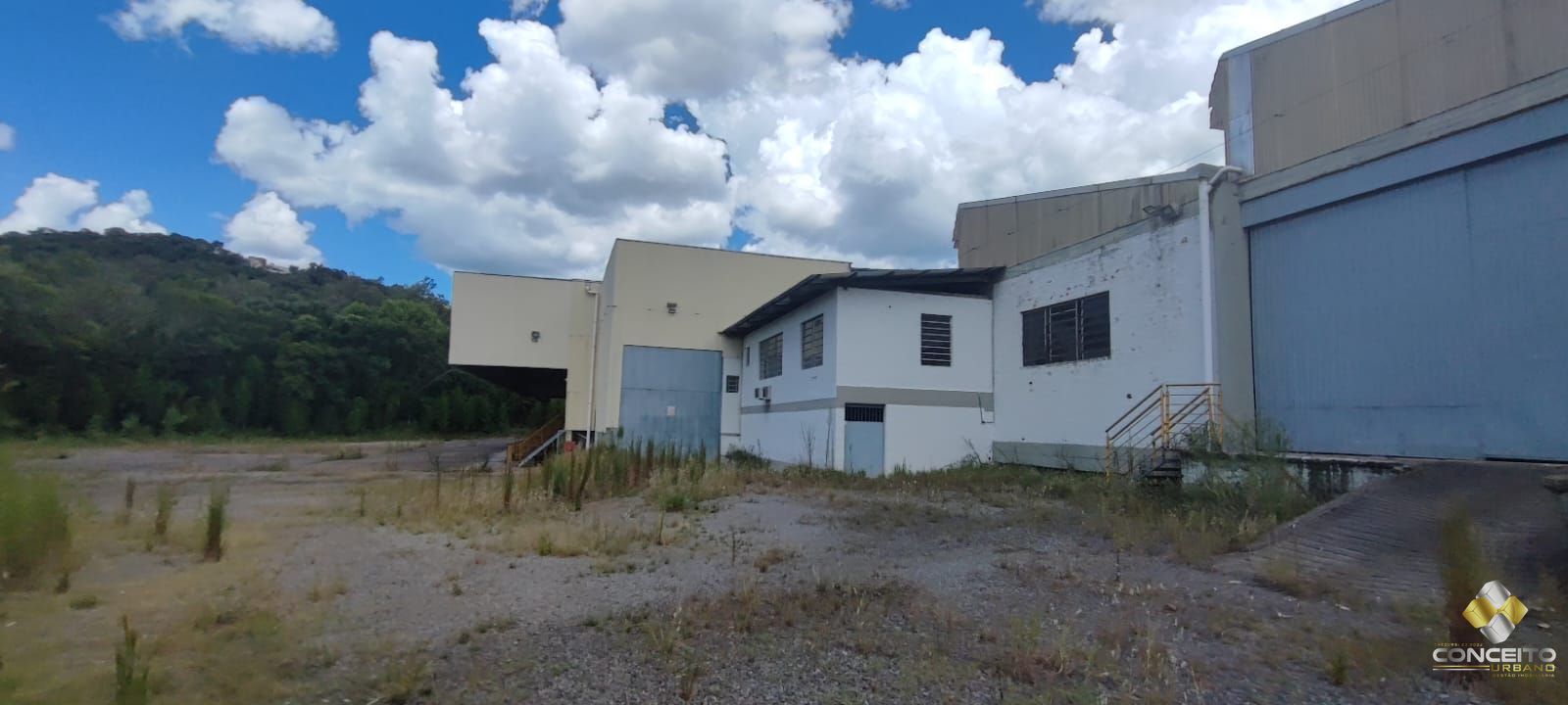 img72488023