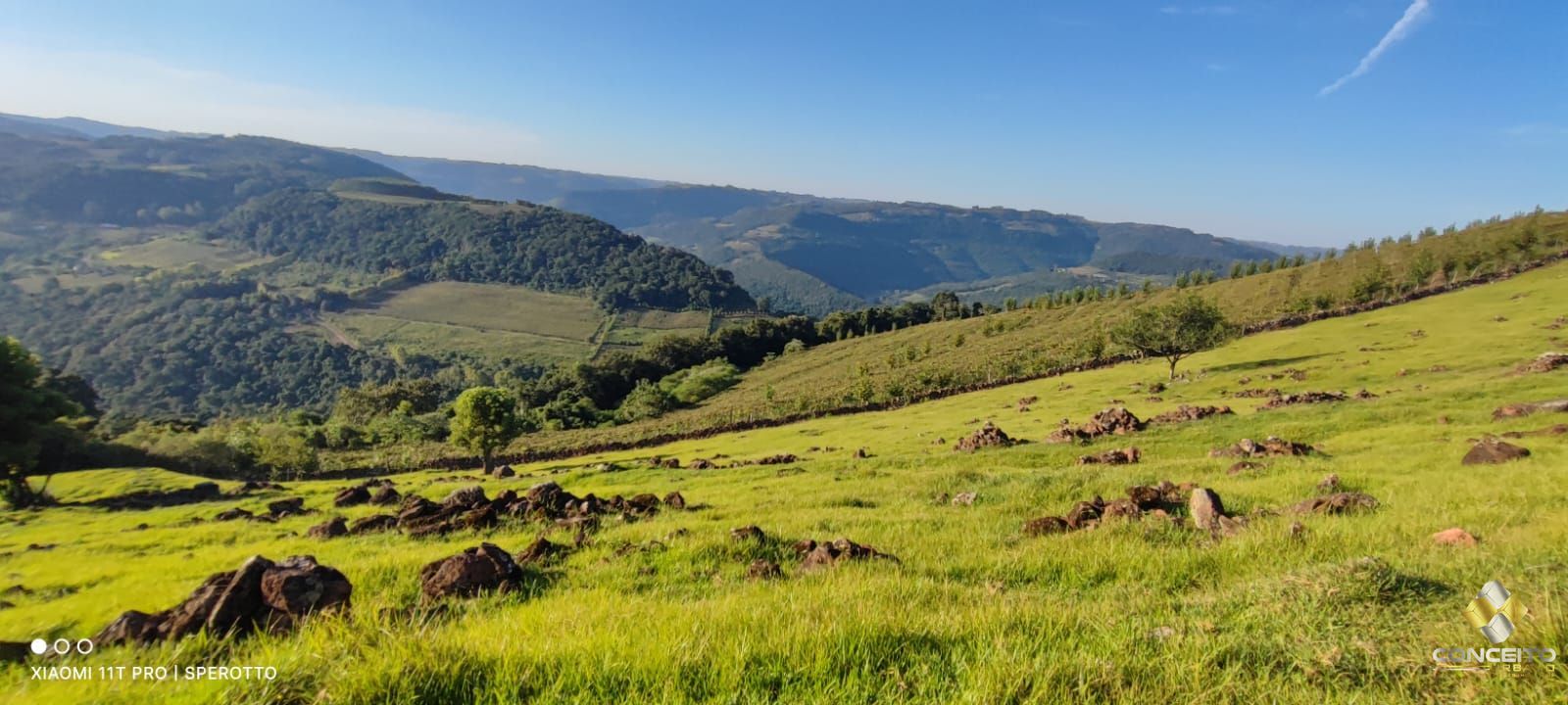 Terreno à venda, 20000m² - Foto 41