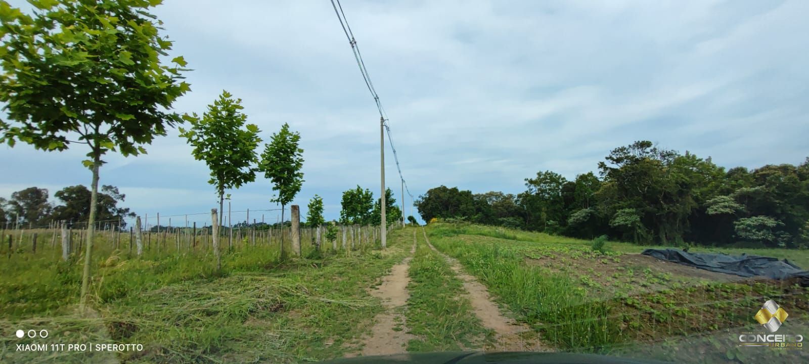 Terreno à venda, 107000m² - Foto 14