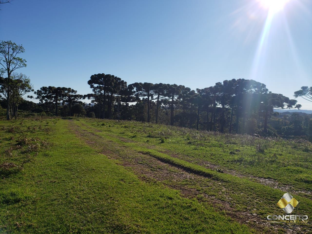 Loteamento e Condomínio à venda, 20000m² - Foto 6