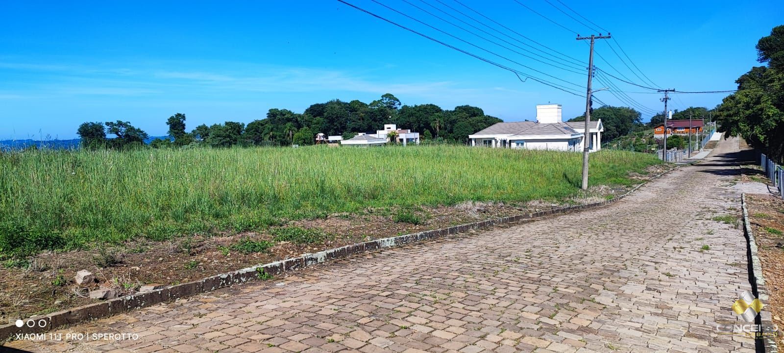 Terreno à venda, 10000m² - Foto 1