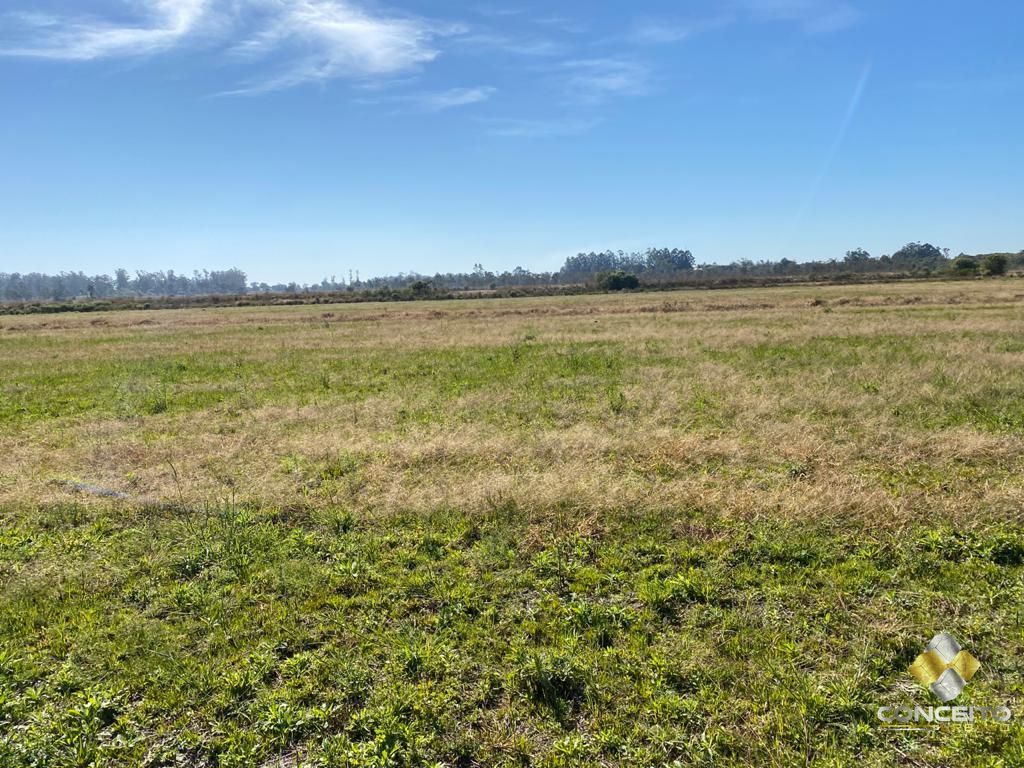 Terreno à venda, 6300000m² - Foto 18