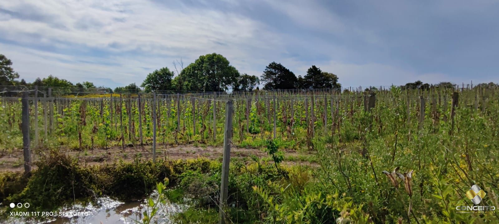 Terreno à venda, 107000m² - Foto 18