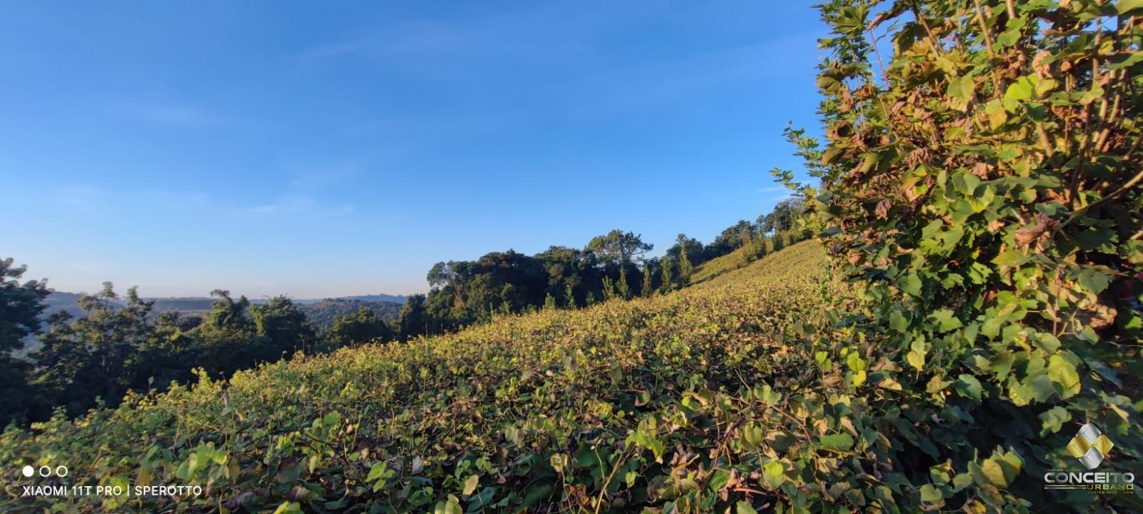 Loteamento e Condomínio à venda, 60000m² - Foto 12
