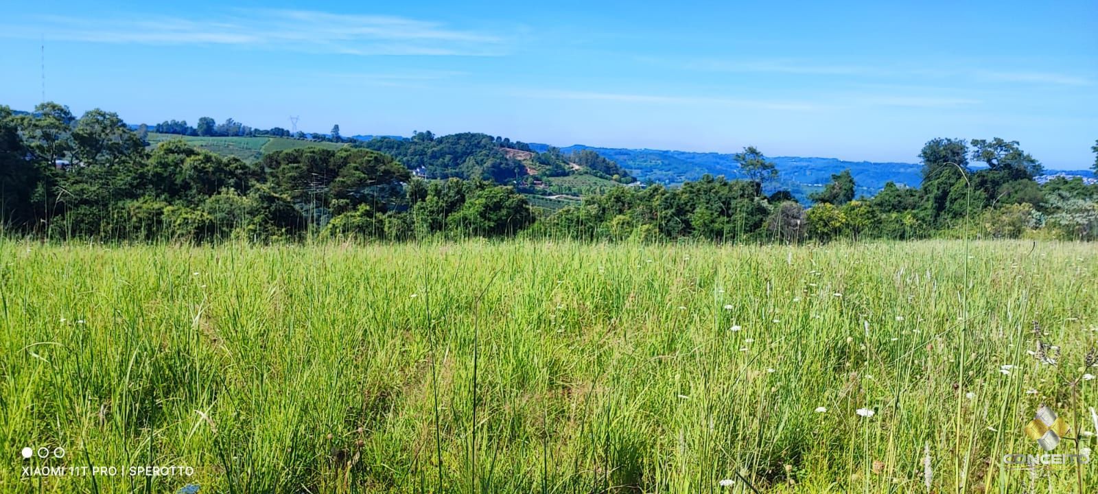 Terreno à venda, 10000m² - Foto 13