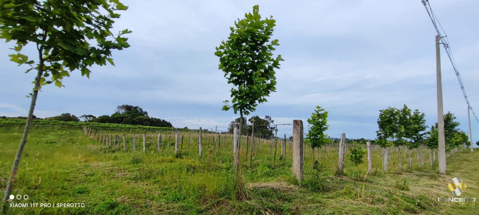 Terreno à venda, 107000m² - Foto 16