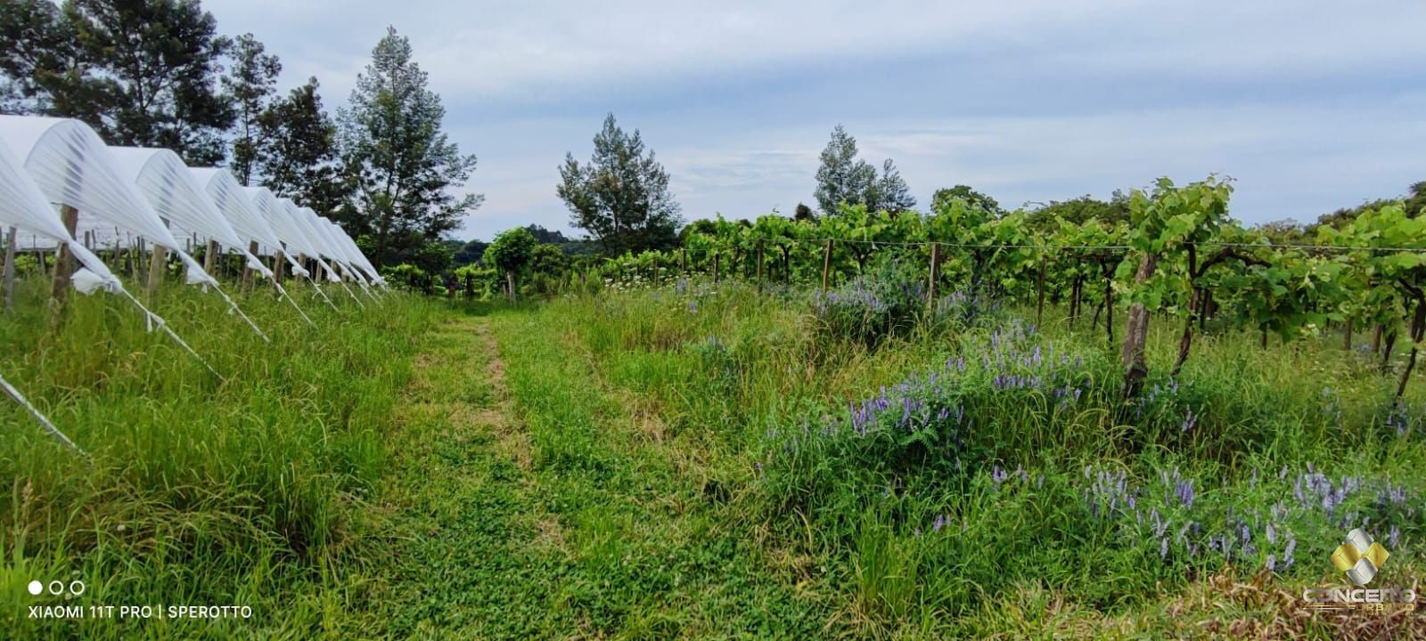 Terreno à venda, 107000m² - Foto 24