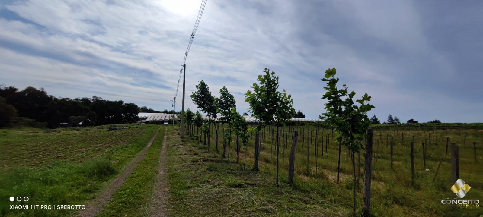 Terreno à venda, 107000m² - Foto 9