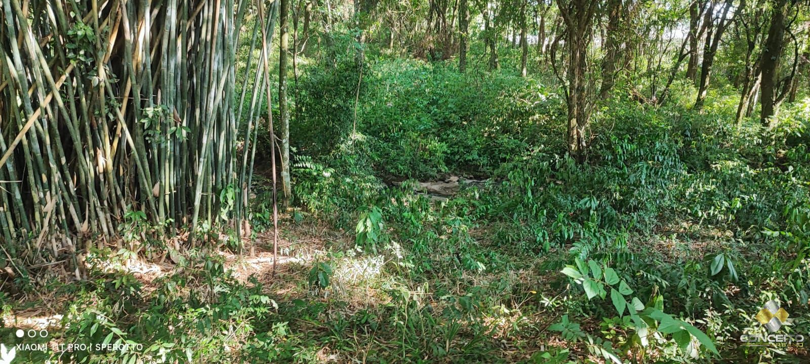 Loteamento e Condomínio à venda e aluguel, 11946m² - Foto 17