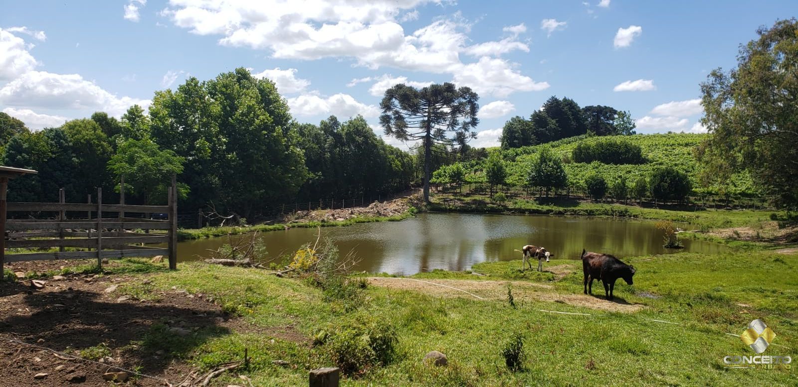 Terreno à venda, 70000m² - Foto 23