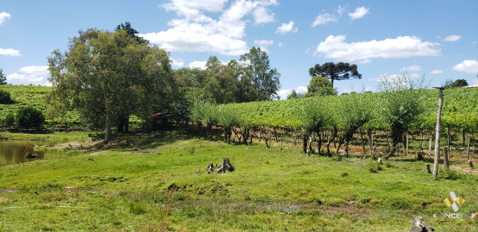 Terreno à venda, 70000m² - Foto 15