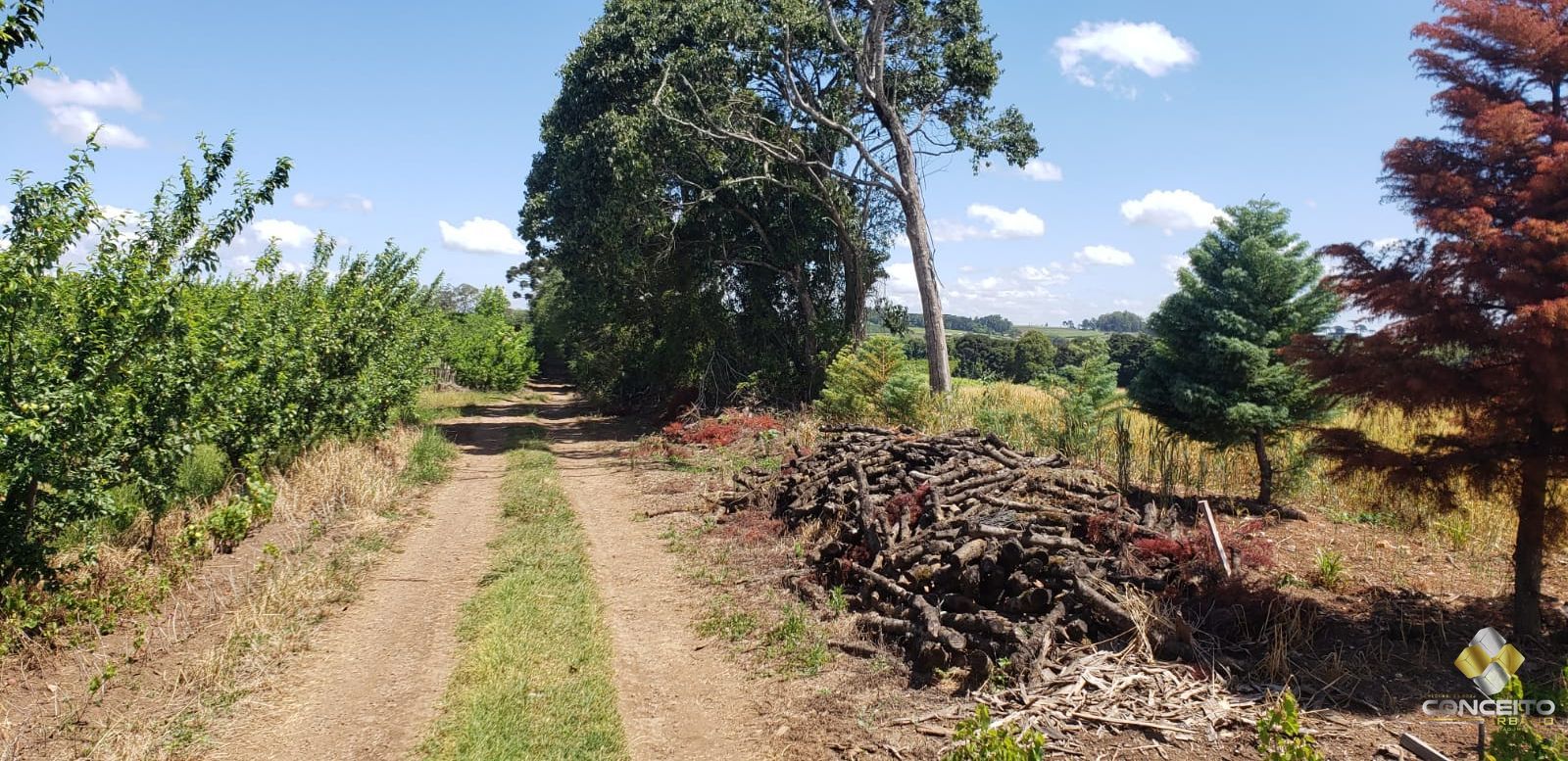 Terreno à venda, 70000m² - Foto 21