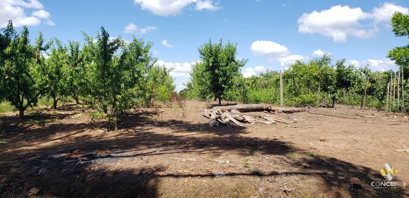 Terreno à venda, 70000m² - Foto 12