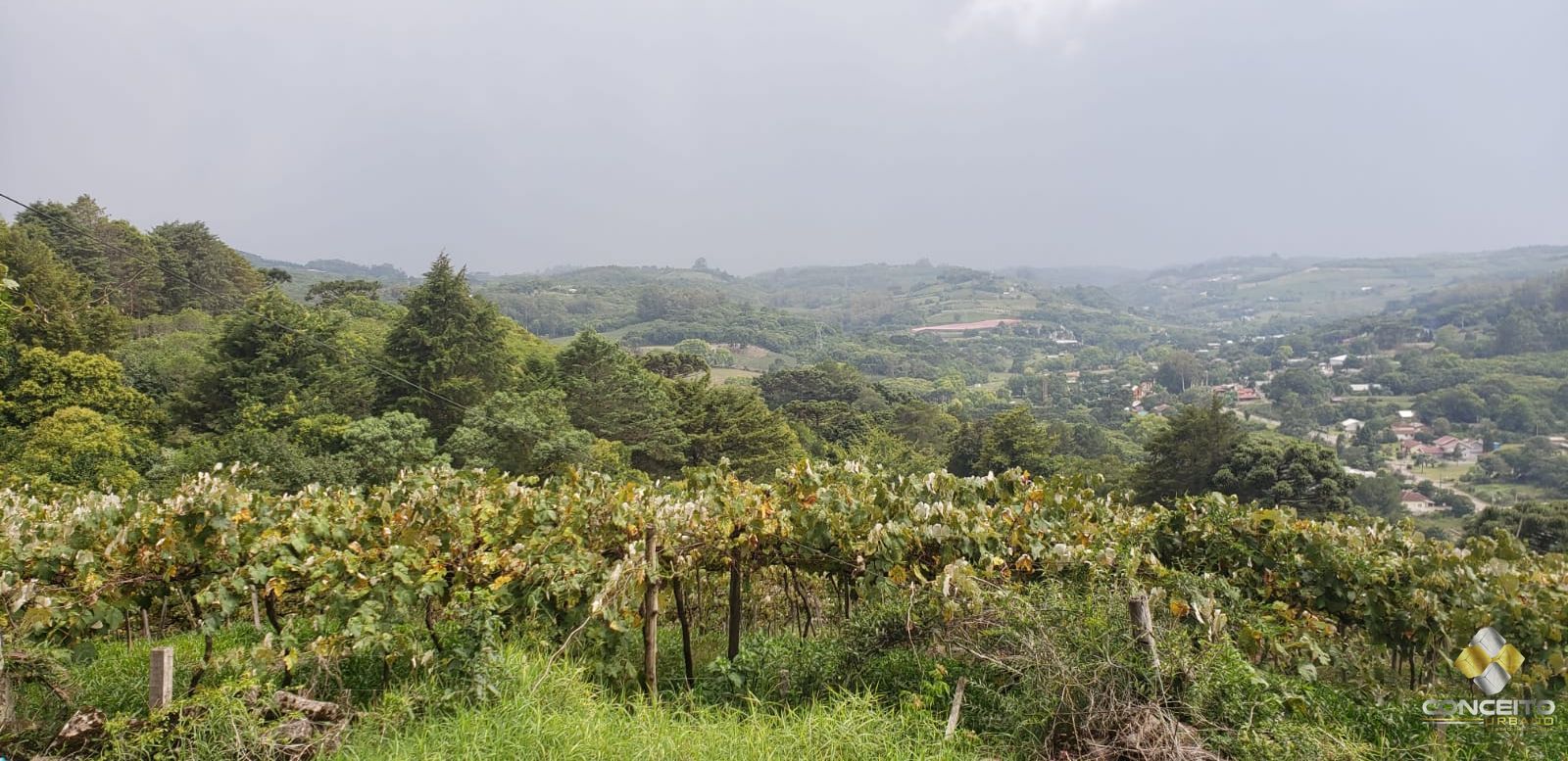 Loteamento e Condomínio à venda, 120m² - Foto 12