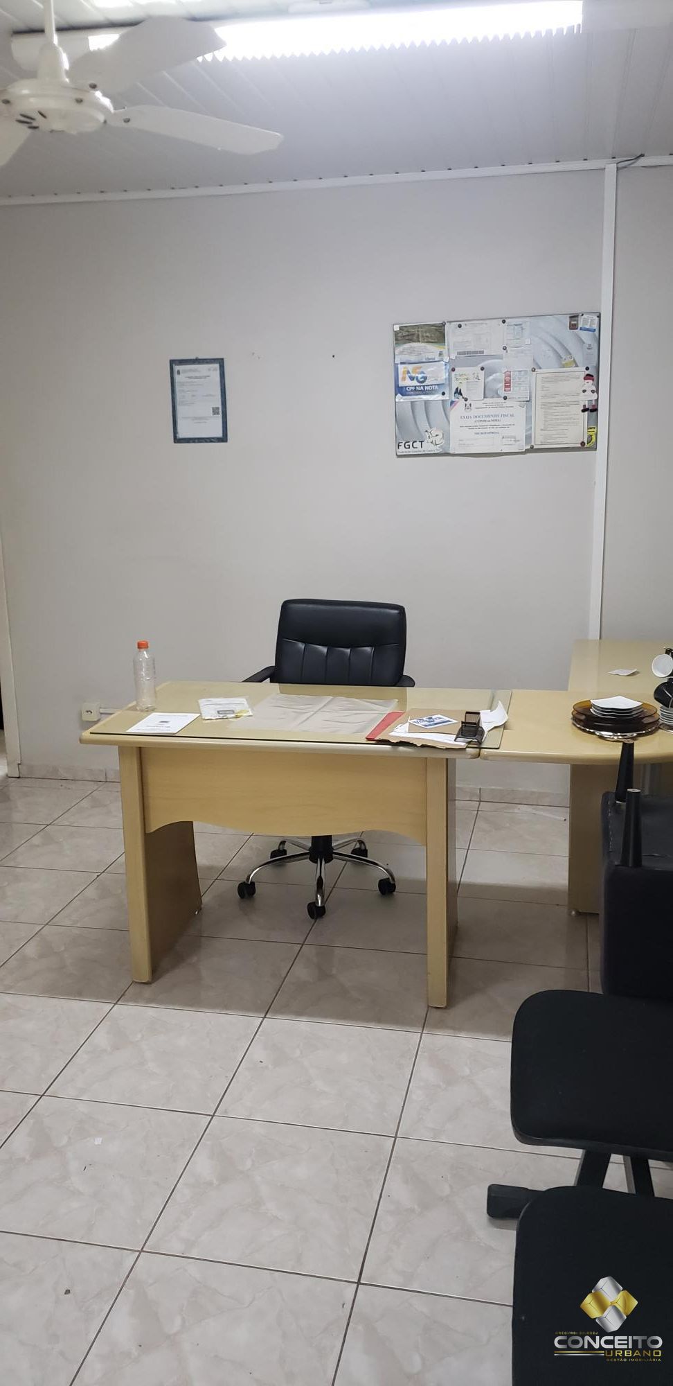 img16899351