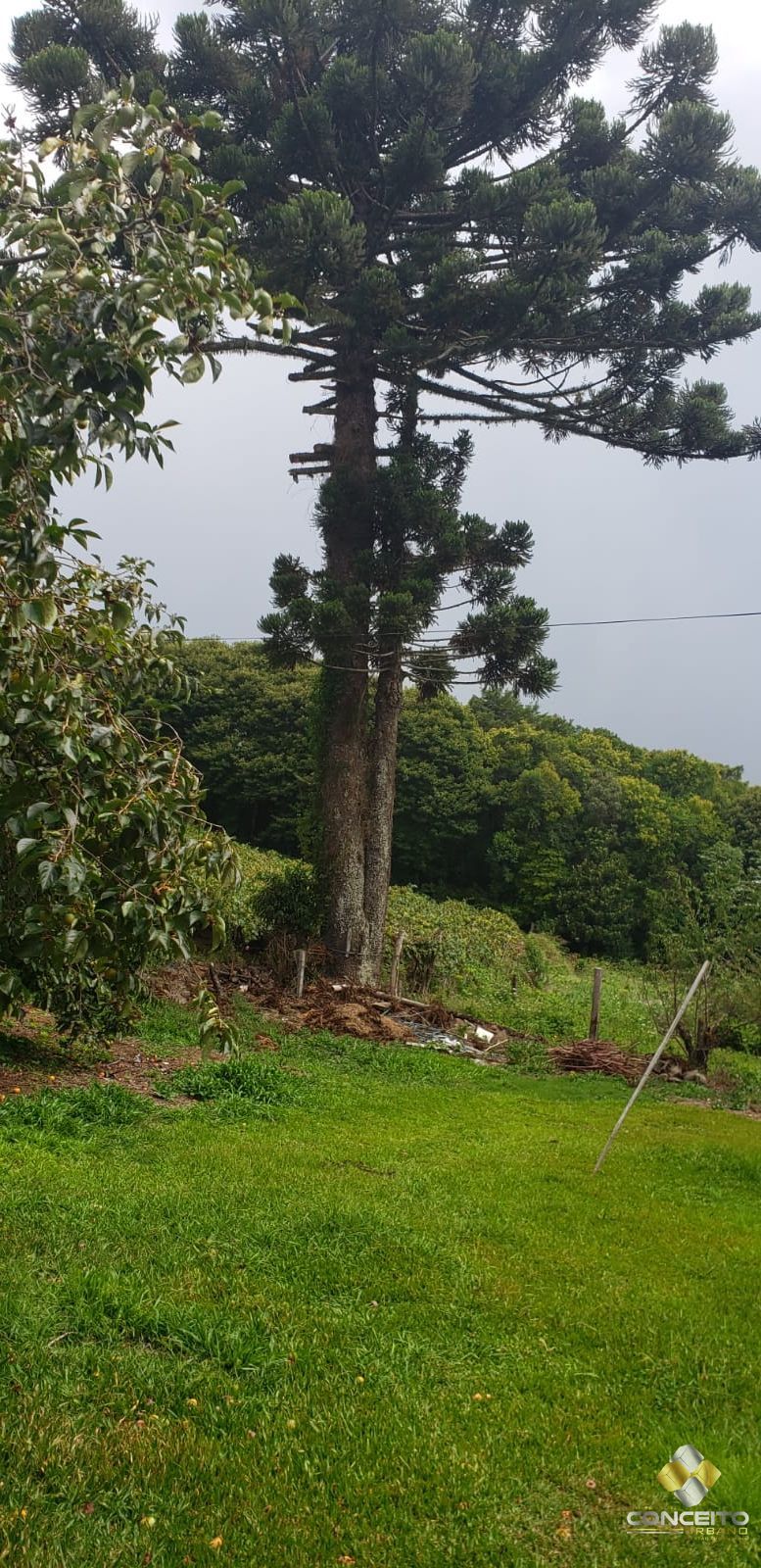 Loteamento e Condomínio, 20000 hectares - Foto 13