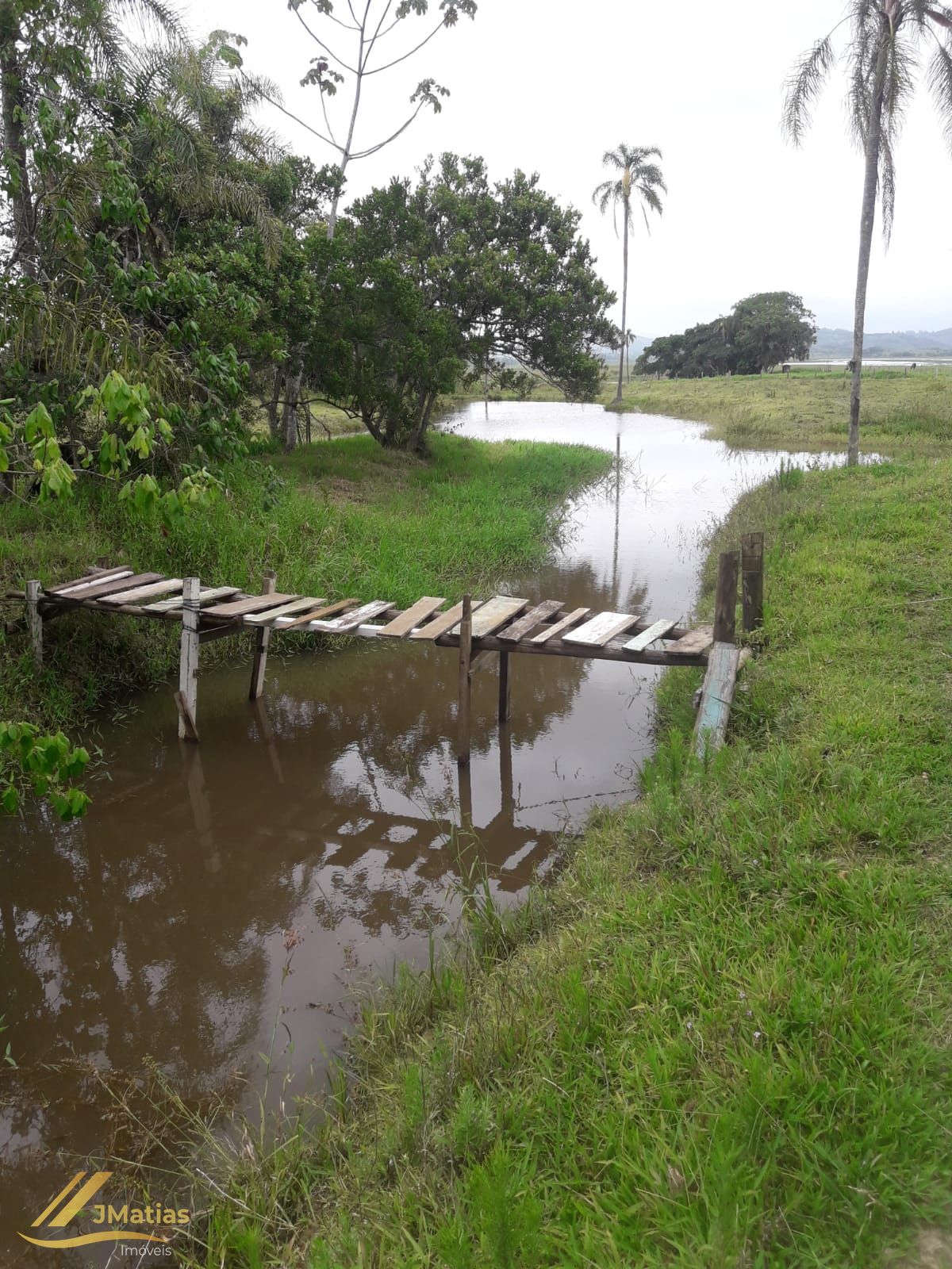 Chácara, 3 quartos - Foto 6