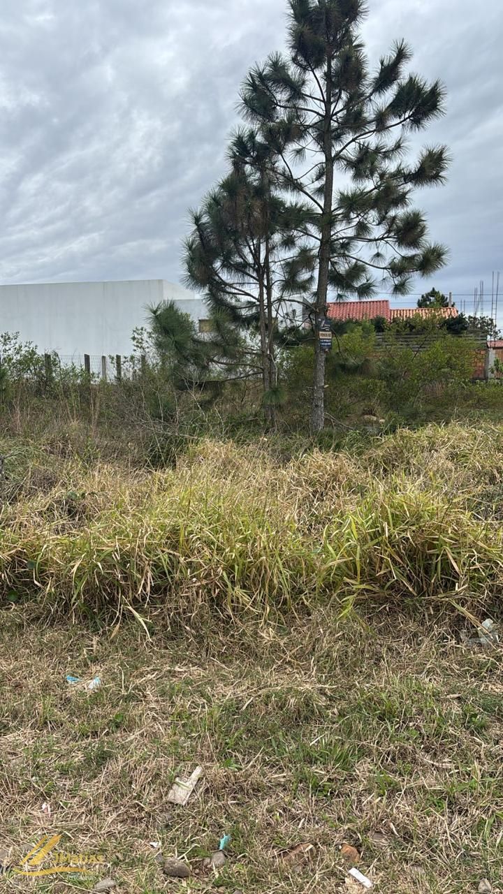 Terreno, 295 m² - Foto 2