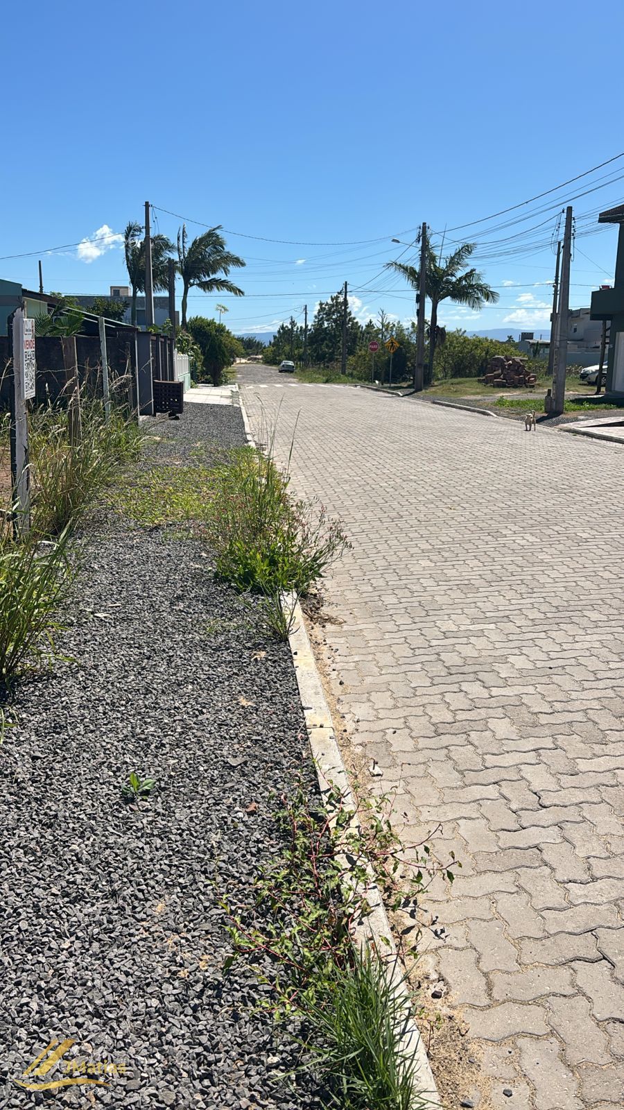 Terreno, 300 m² - Foto 3