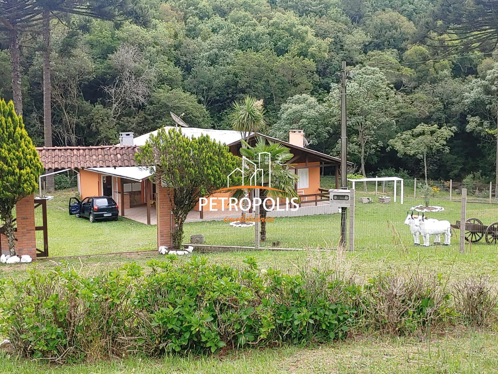 Fazenda à venda com 4 quartos, 150m² - Foto 32