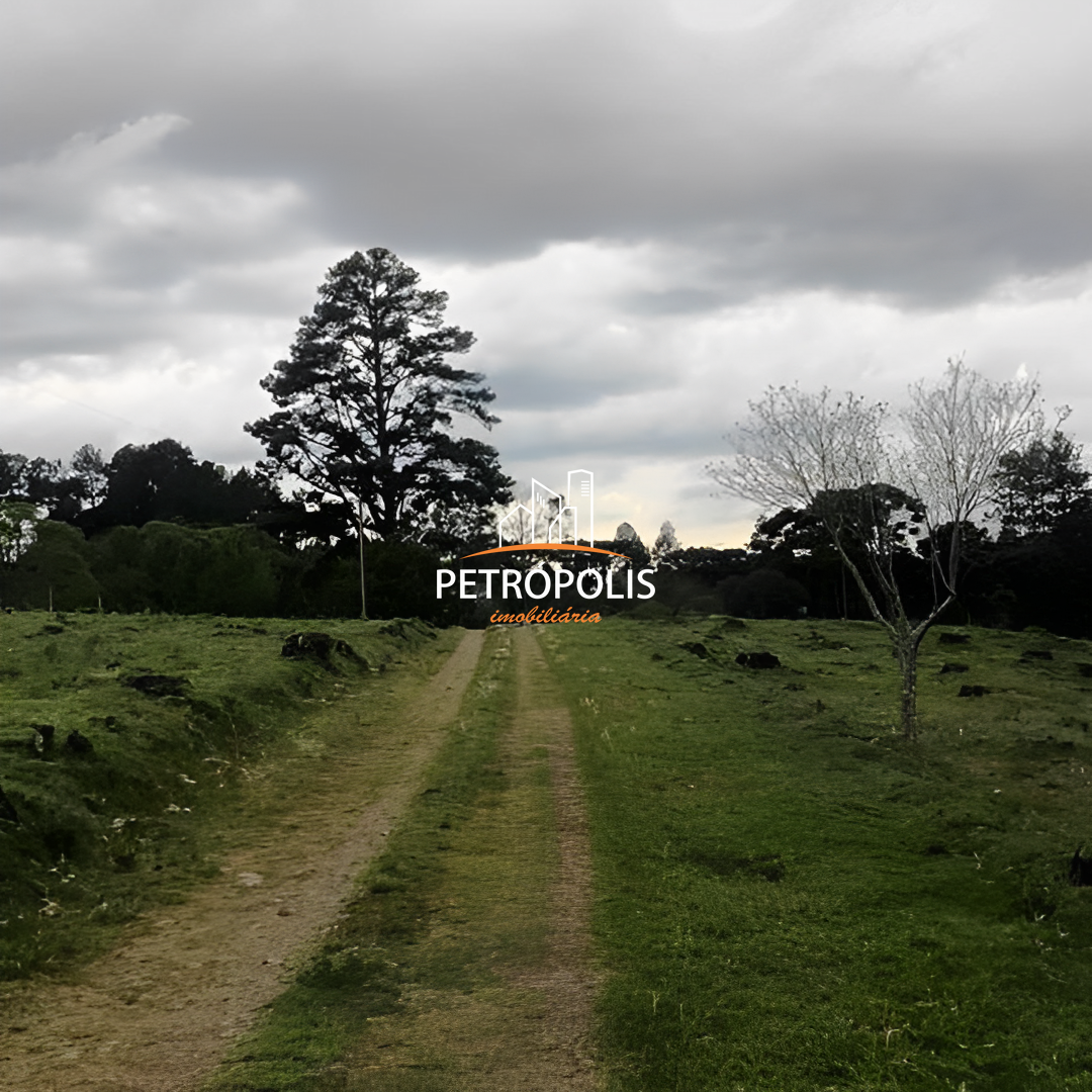 Fazenda à venda com 4 quartos, 150m² - Foto 6