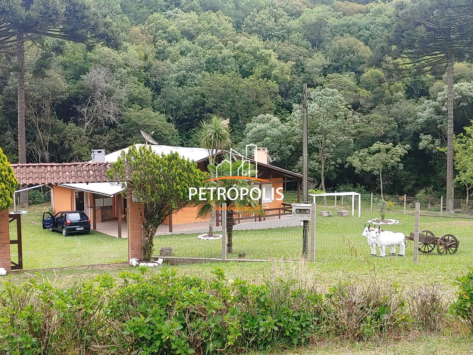 Fazenda à venda com 4 quartos, 150m² - Foto 35