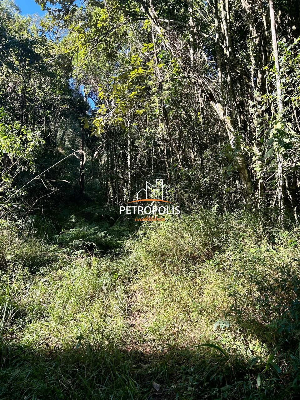 Fazenda à venda, 20000m² - Foto 14