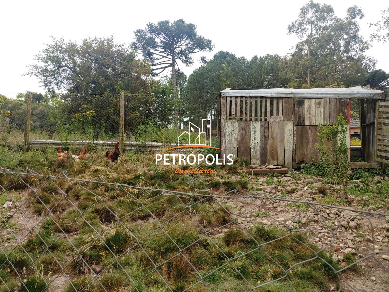 Fazenda à venda com 4 quartos, 150m² - Foto 40