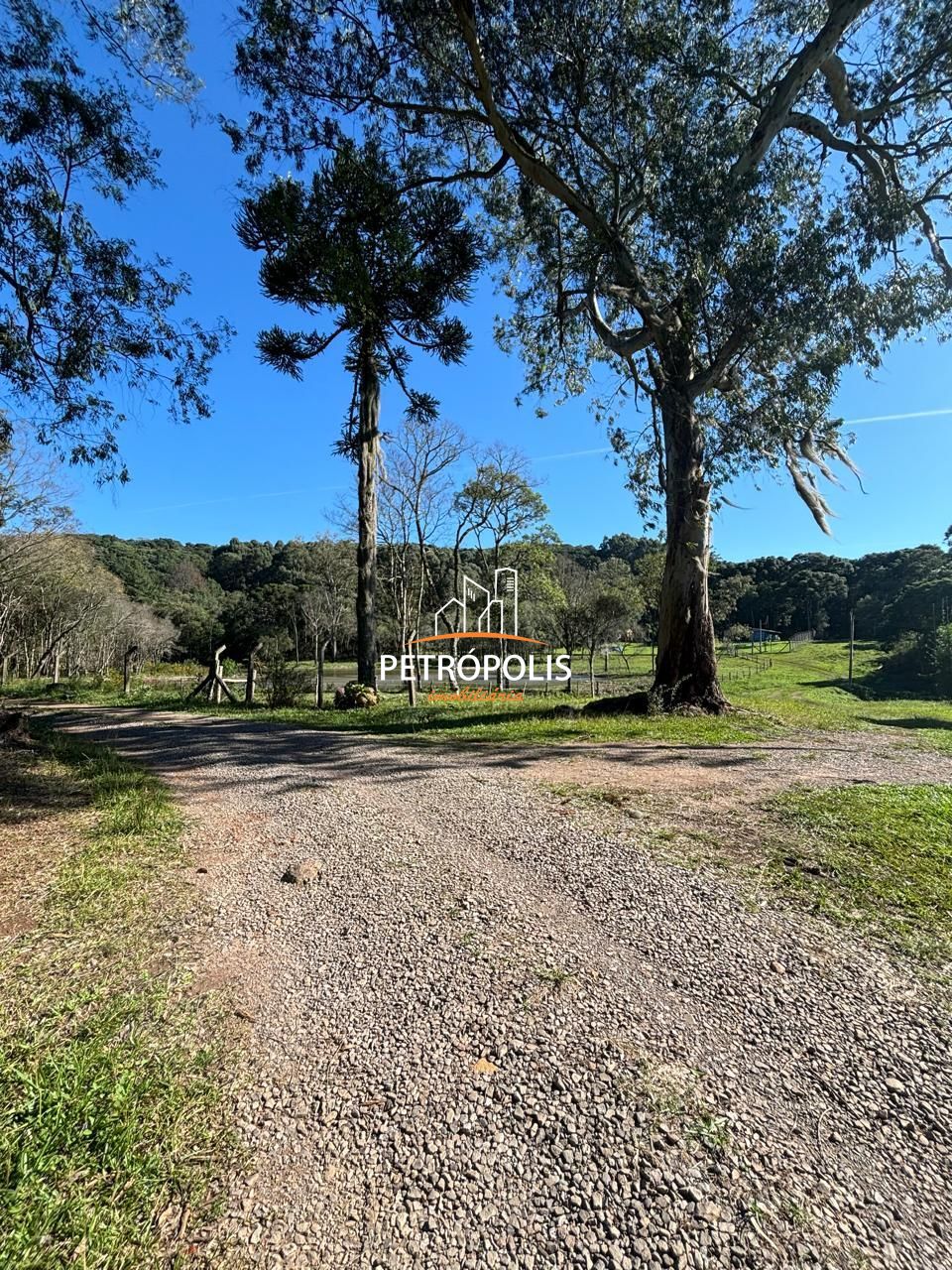 Fazenda à venda, 20000m² - Foto 8