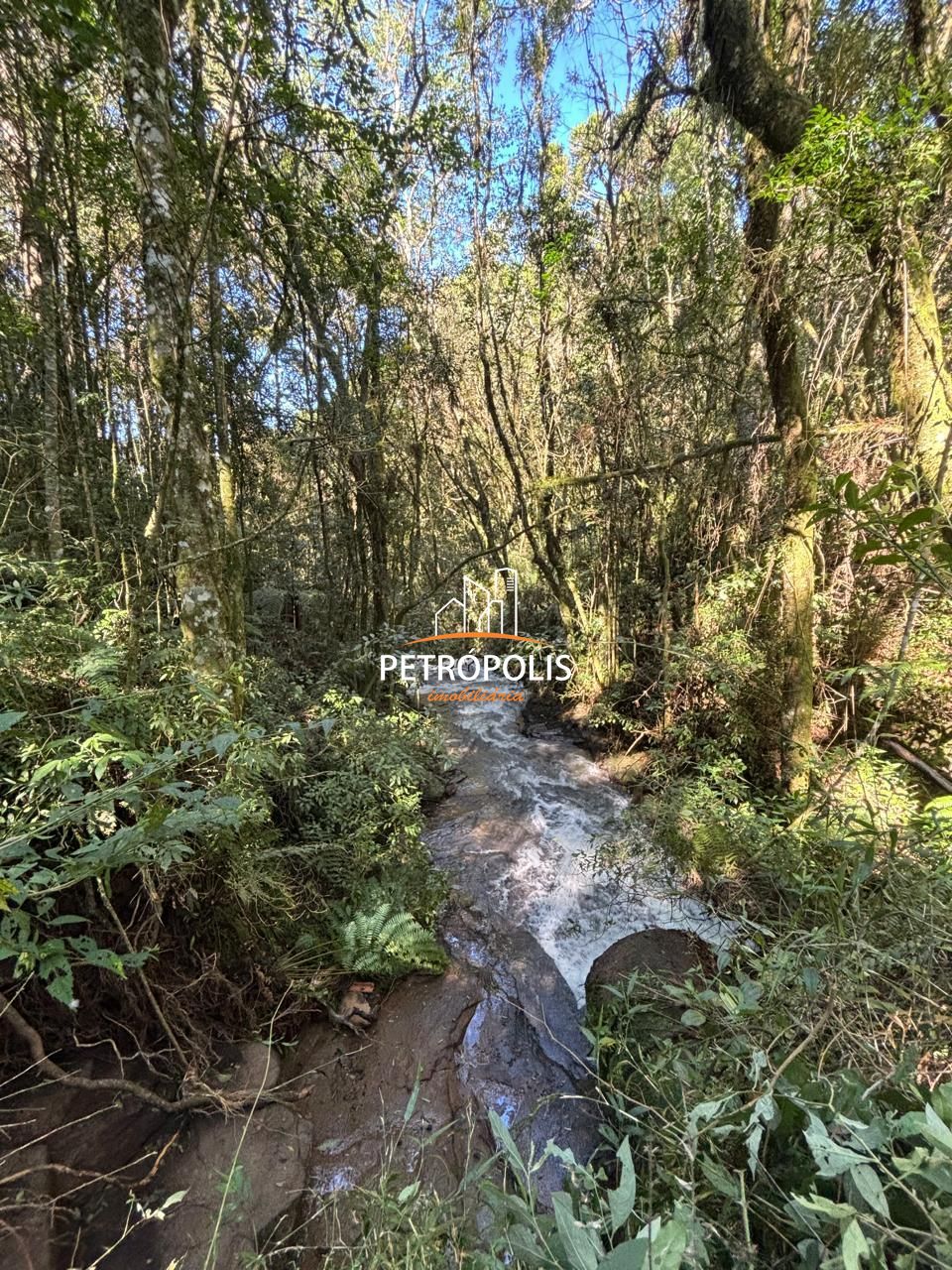 Fazenda à venda, 20000m² - Foto 9