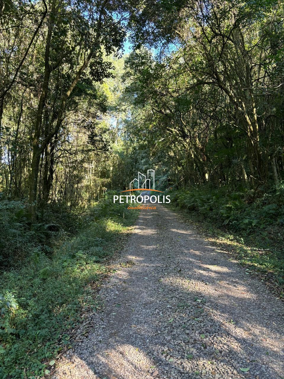 Fazenda à venda, 20000m² - Foto 13