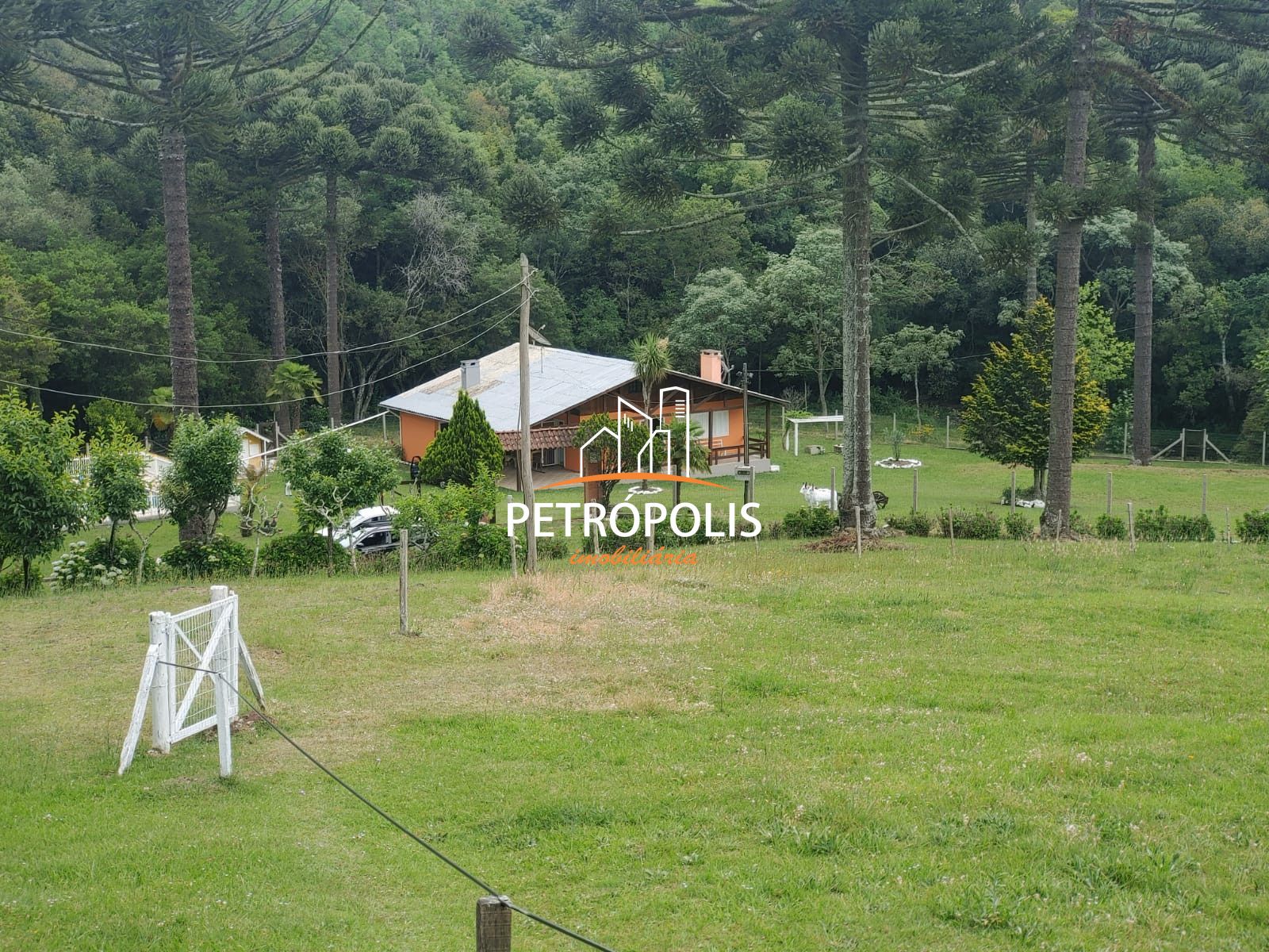 Fazenda à venda com 4 quartos, 150m² - Foto 45