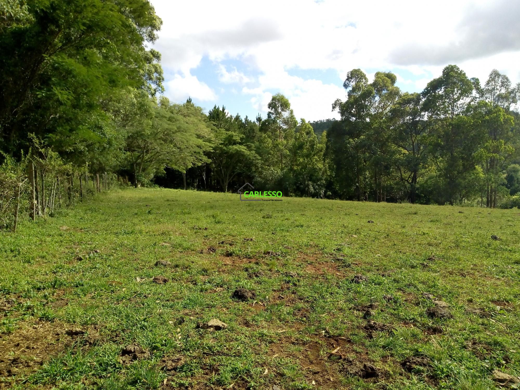 Fazenda/sítio/chácara/haras à venda  no Boca do Monte - Santa Maria, RS. Imóveis