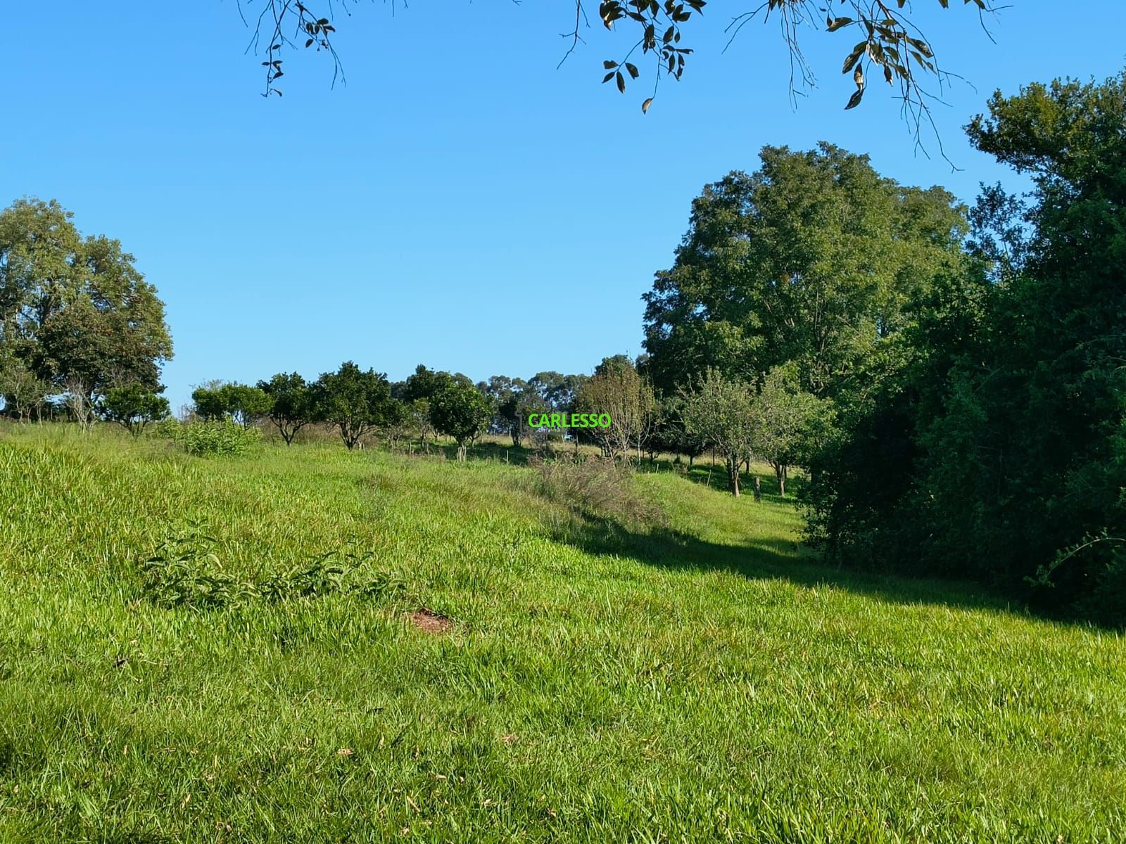 Fazenda/sítio/chácara/haras à venda  no Boca do Monte - Santa Maria, RS. Imóveis